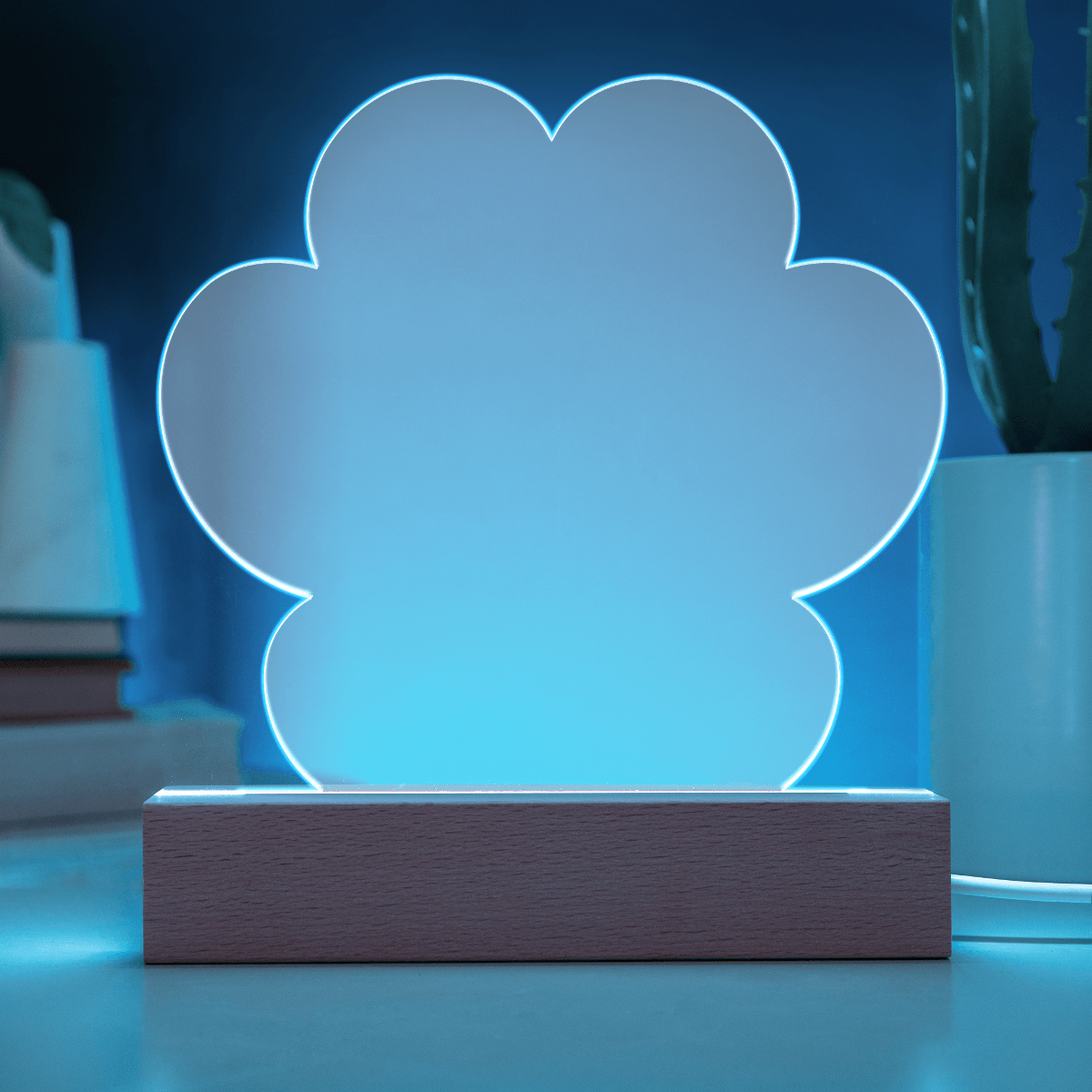 Acrylic Paw Plaque - test