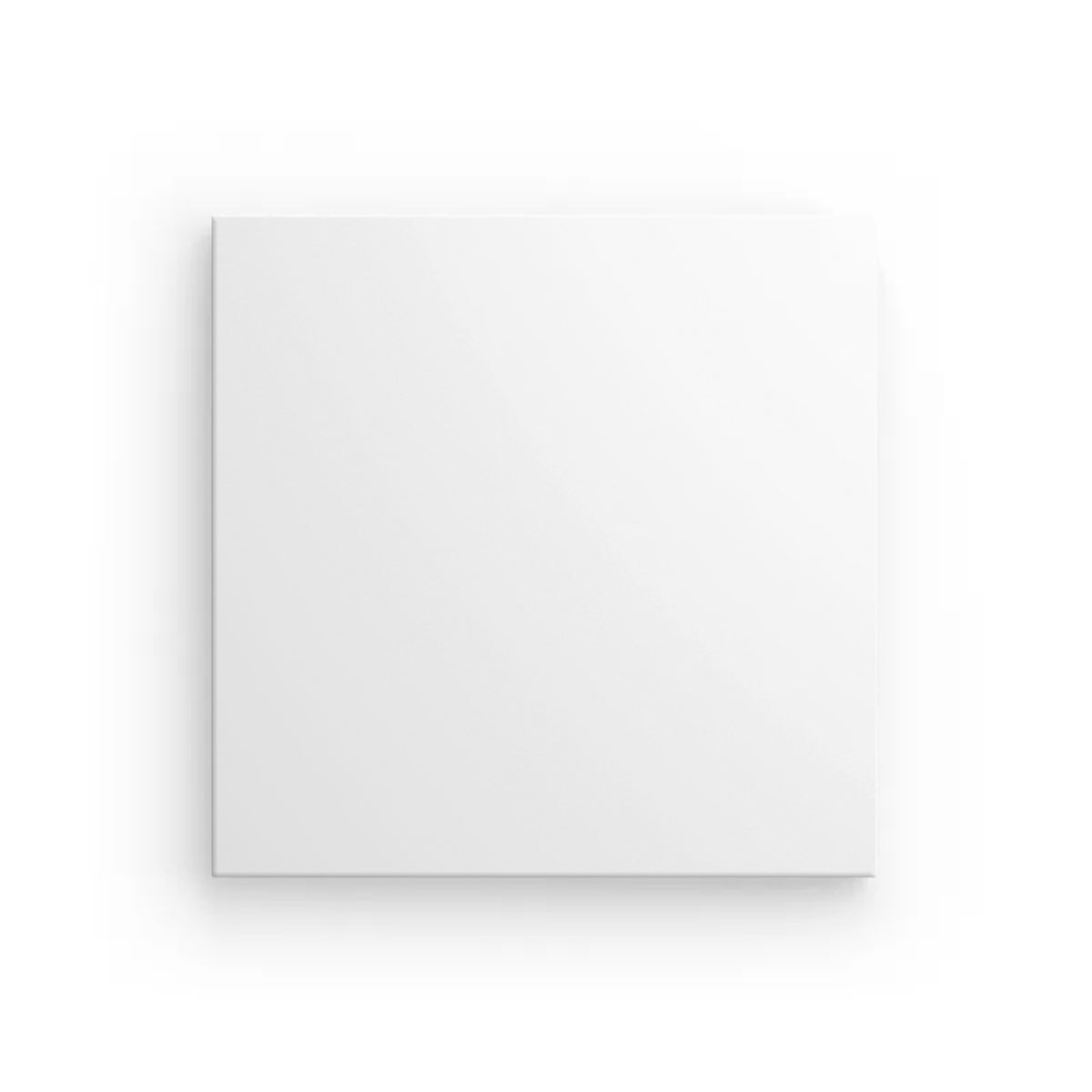 Canvas 2 Cm (US Version)
