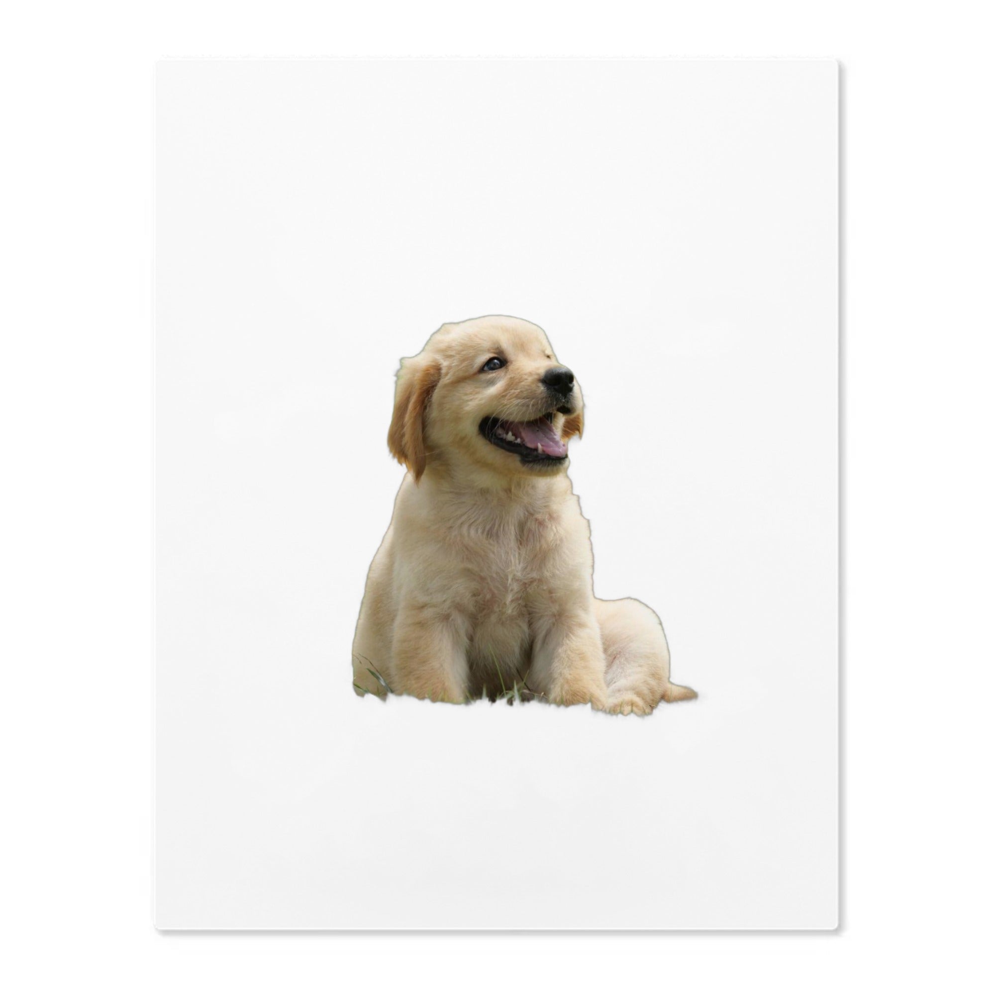 Acrylic Prints