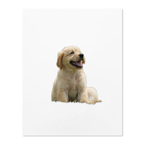 Acrylic Prints