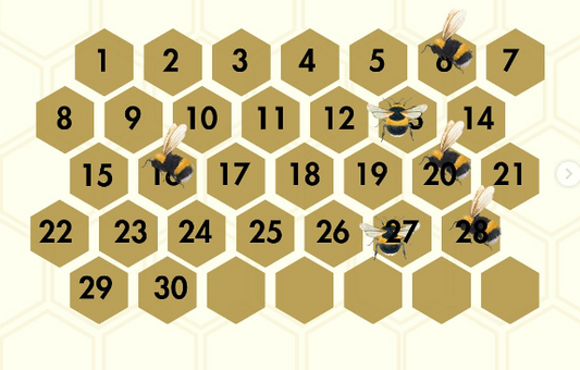 Personalized Photo Gift with Honeycomb Design