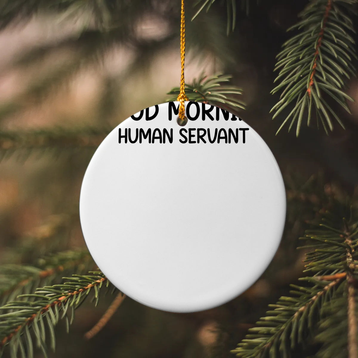 SUBORNC Circle Ornament