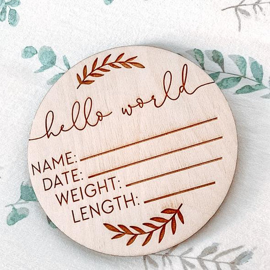Hello World Baby Plaque
